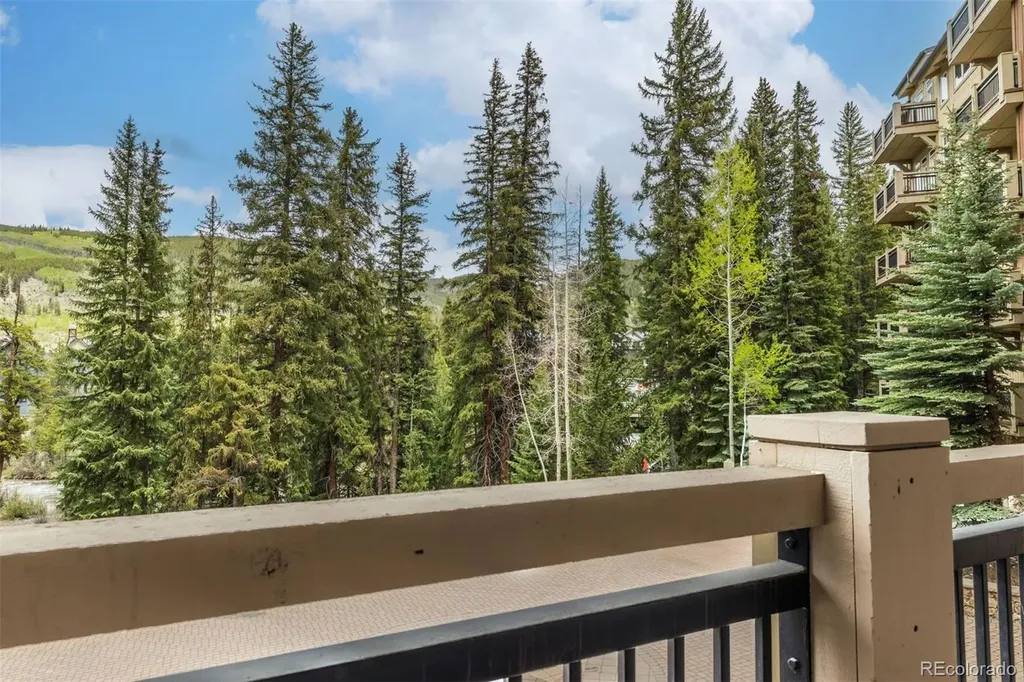 280 Trailhead Drive Dillon CO 80435