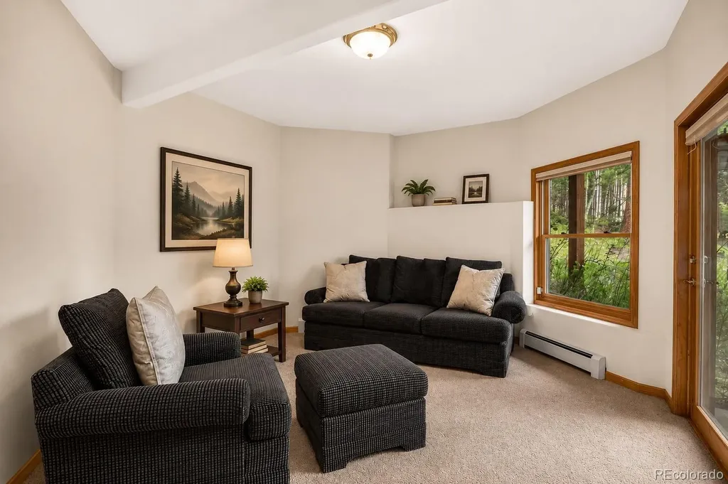 13338 Elsie Road Conifer CO 80433