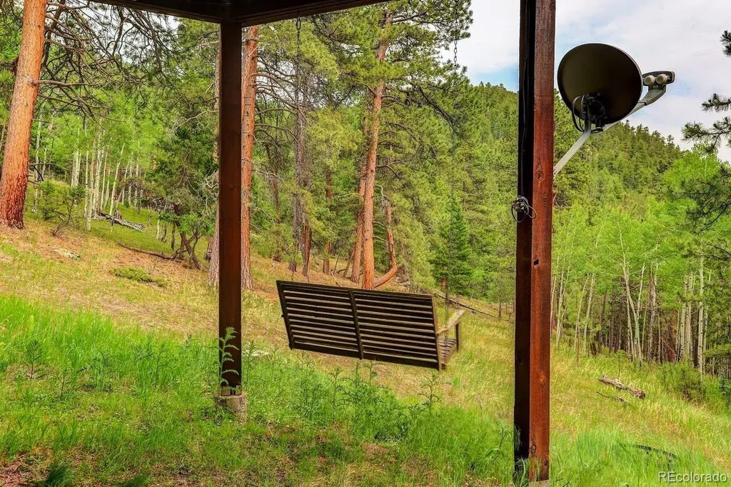 13338 Elsie Road Conifer CO 80433