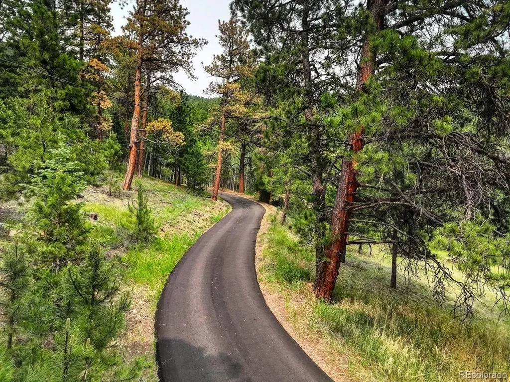 13338 Elsie Road Conifer CO 80433