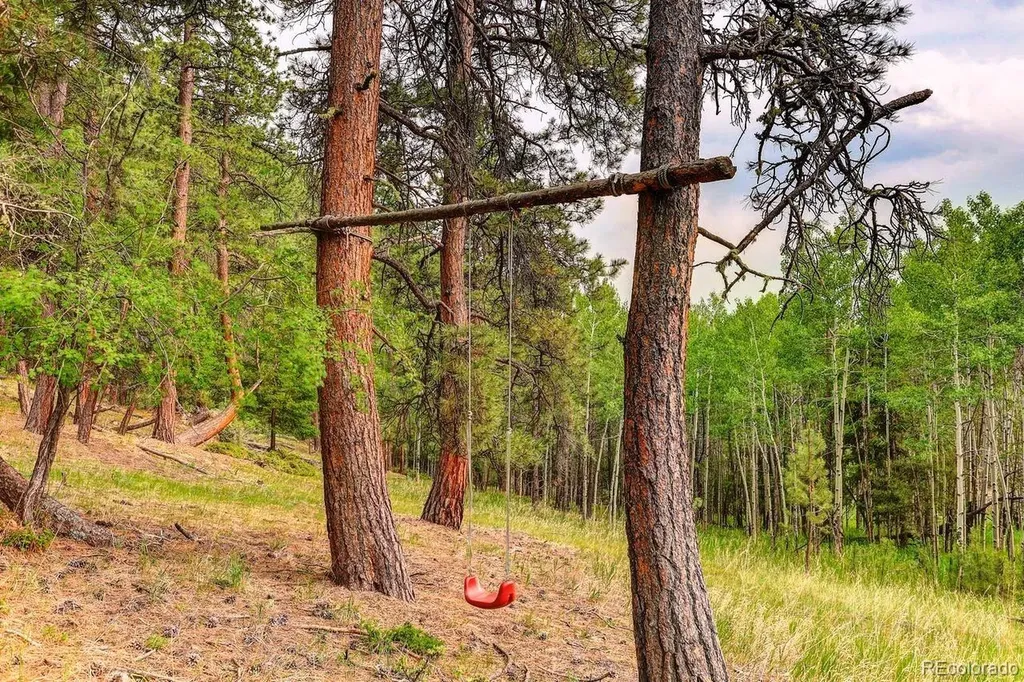 13338 Elsie Road Conifer CO 80433