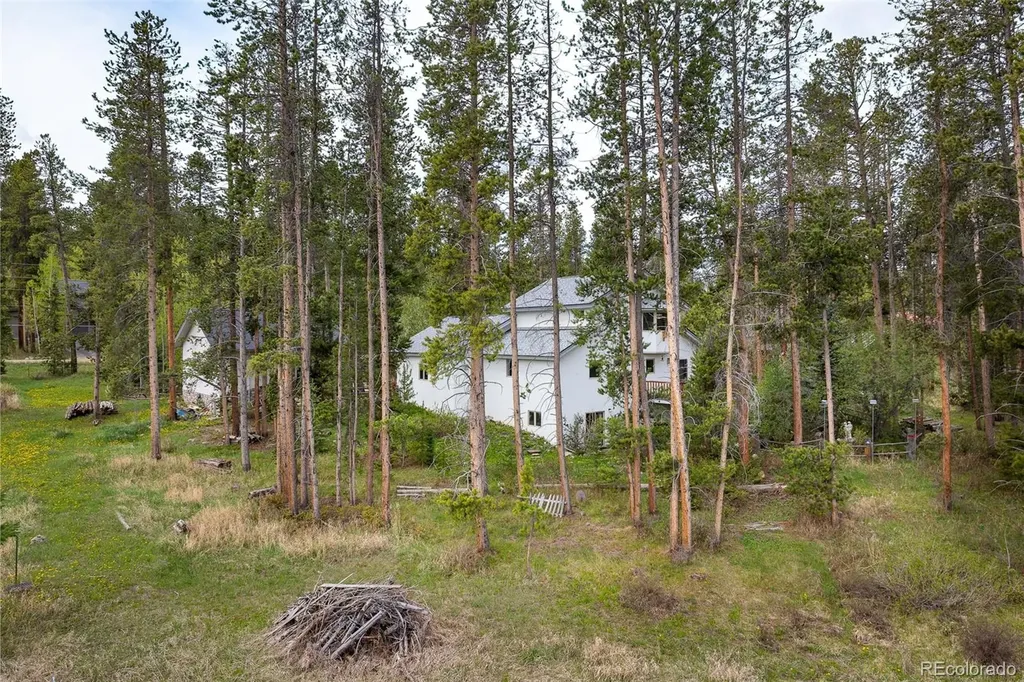 201 Hughes Avenue Fraser CO 80442