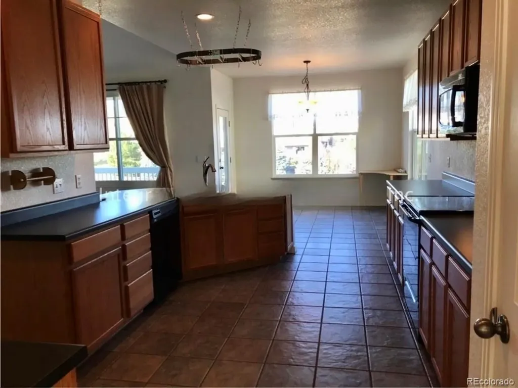 3821 Sunchase Drive Castle Rock CO 80109
