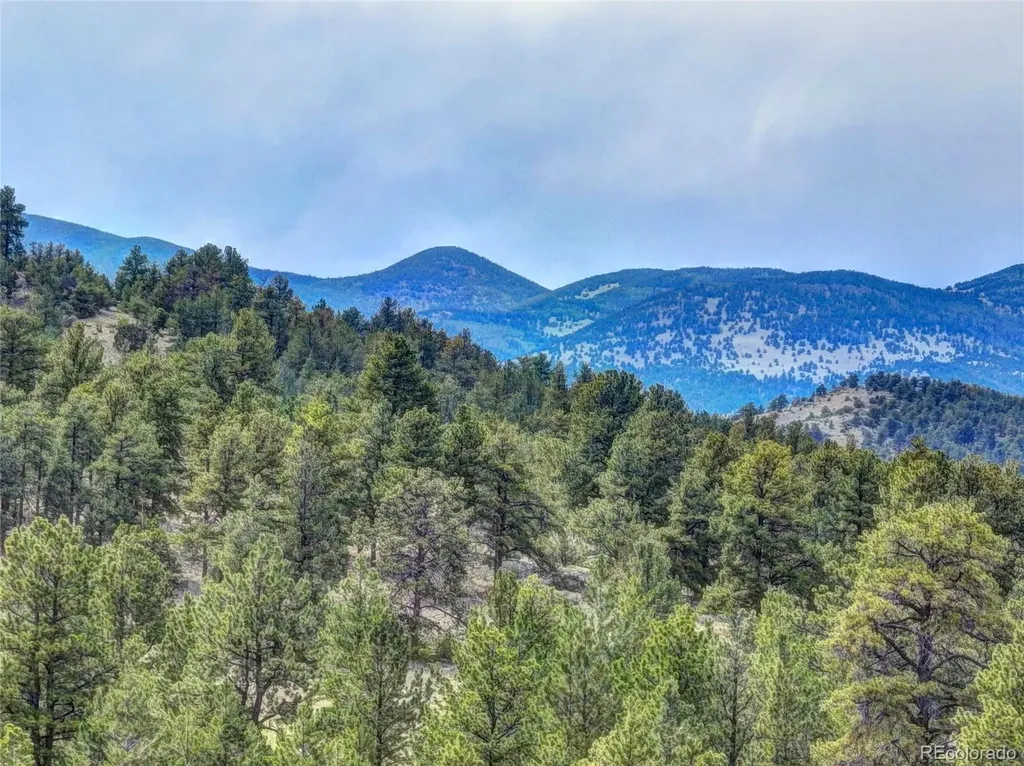 10050 County Road 102 Guffey CO 80820