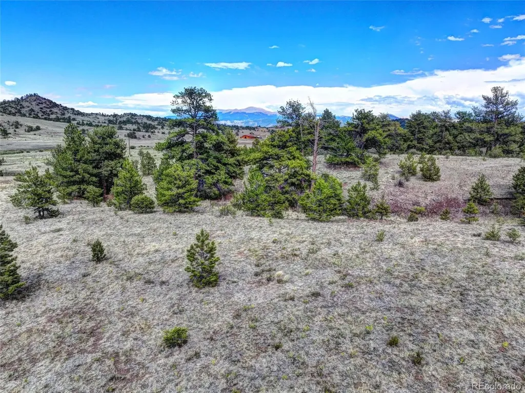 10050 County Road 102 Guffey CO 80820