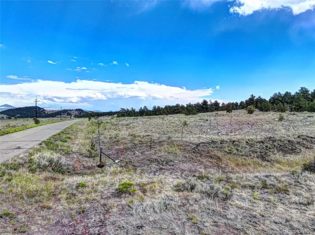 10050 County Road 102 Guffey CO 80820