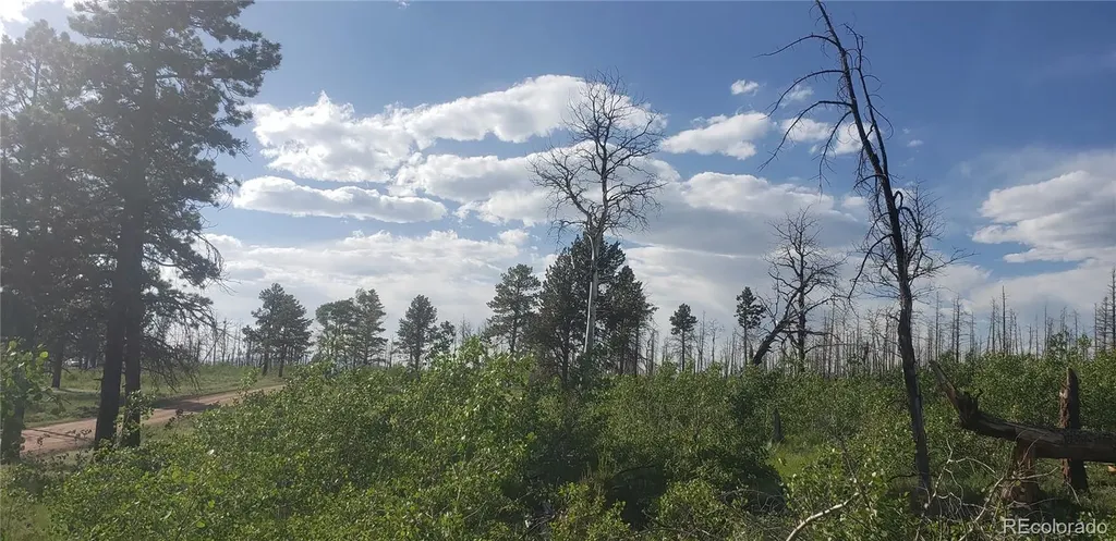 Lot 1406 Emery Loop Fort Garland CO 81133