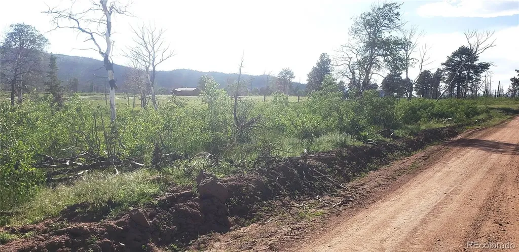 Lot 1406 Emery Loop Fort Garland CO 81133