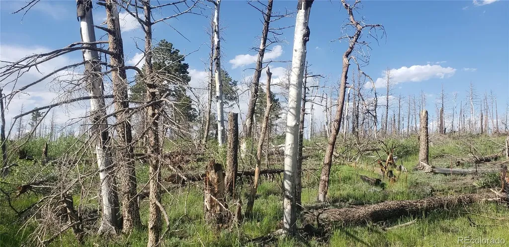 Lot 1406 Emery Loop Fort Garland CO 81133
