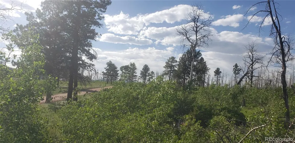 Lot 1406 Emery Loop Fort Garland CO 81133