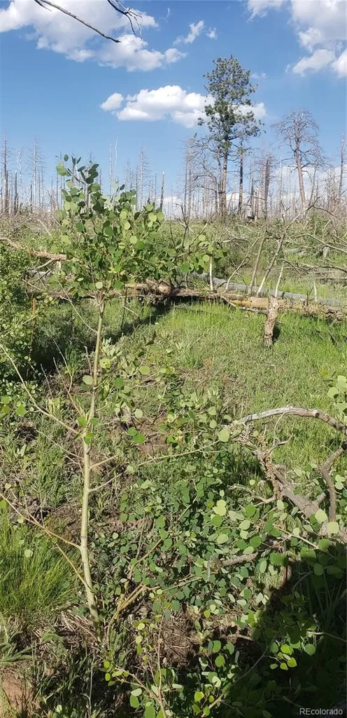 Lot 1406 Emery Loop Fort Garland CO 81133