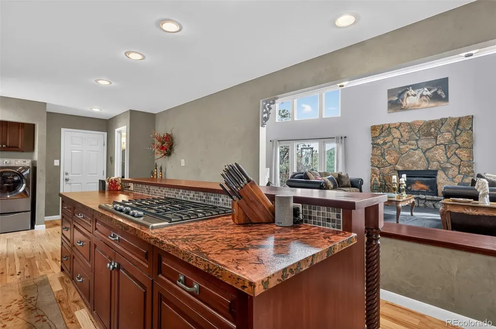 11994 Cochise Circle Conifer CO 80433