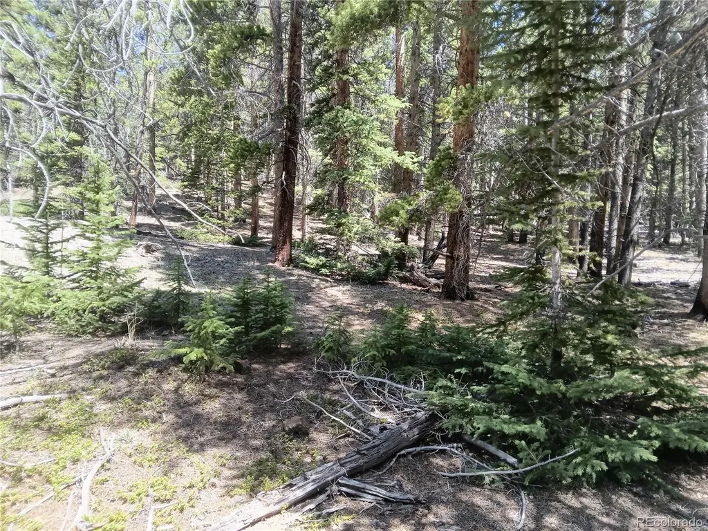 6020 Black Swan Leadville CO 80461