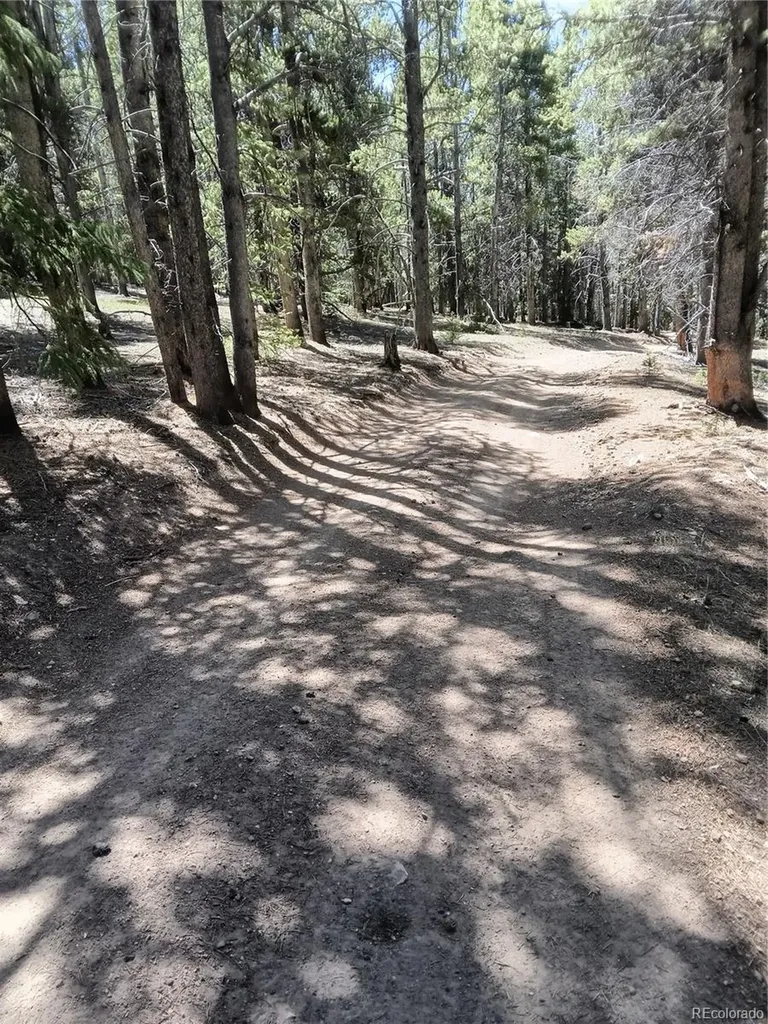 6020 Black Swan Leadville CO 80461