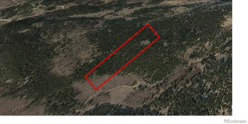 6020 Black Swan Leadville CO 80461