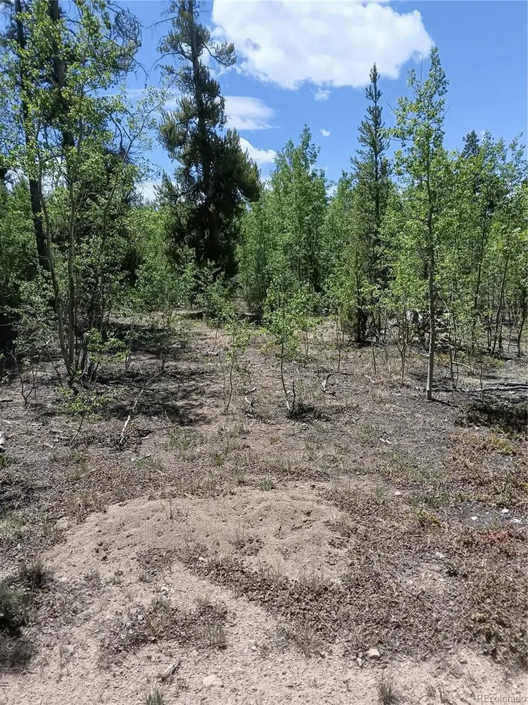 6020 Black Swan Leadville CO 80461