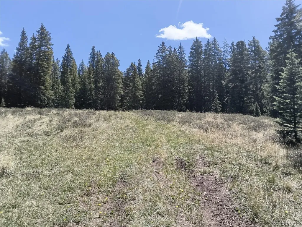 6020 Black Swan Leadville CO 80461