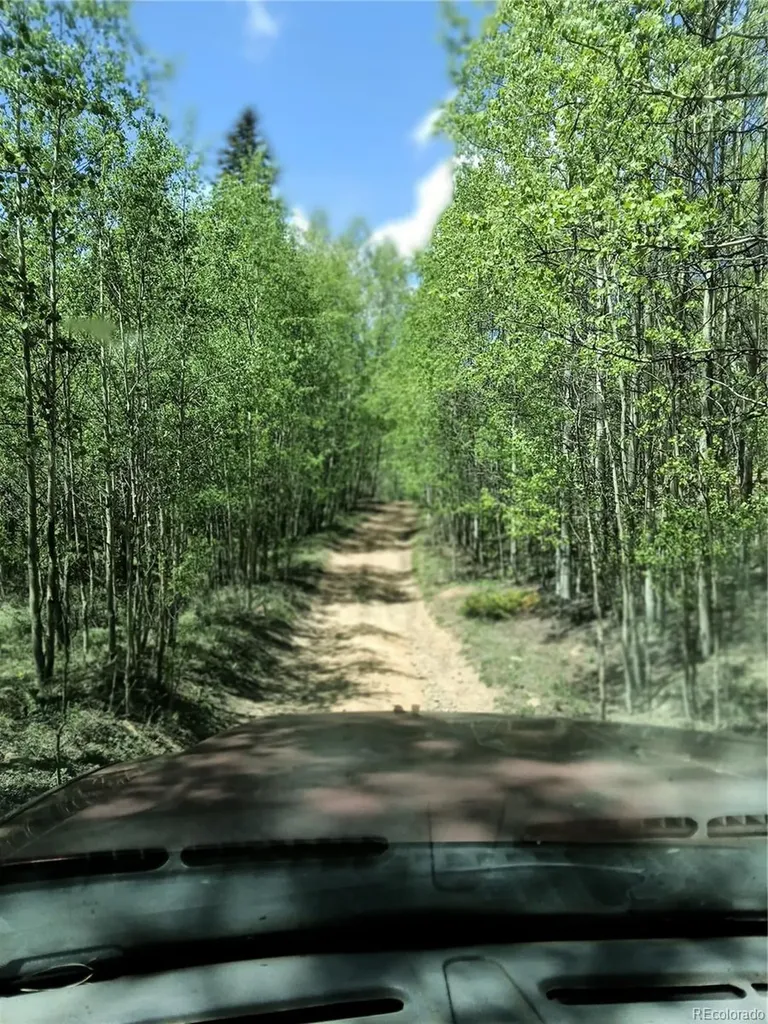 6020 Black Swan Leadville CO 80461
