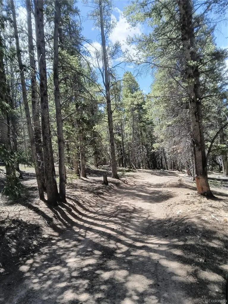 6020 Black Swan Leadville CO 80461