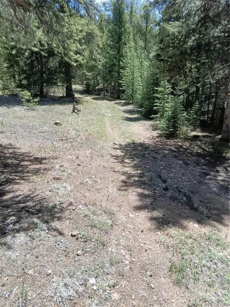 6020 Black Swan Leadville CO 80461