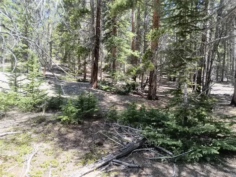 6020 Black Swan Leadville CO 80461