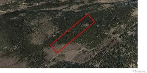 6020 Black Swan Leadville CO 80461