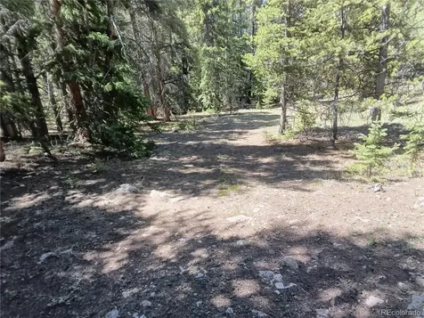 6020 Black Swan Leadville CO 80461