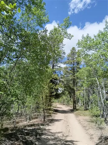 6020 Black Swan Leadville CO 80461