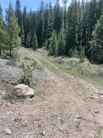 6020 Black Swan Leadville CO 80461