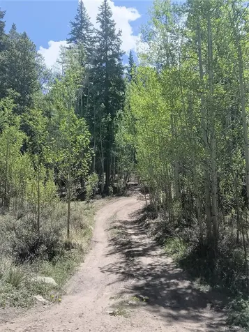 6020 Black Swan Leadville CO 80461