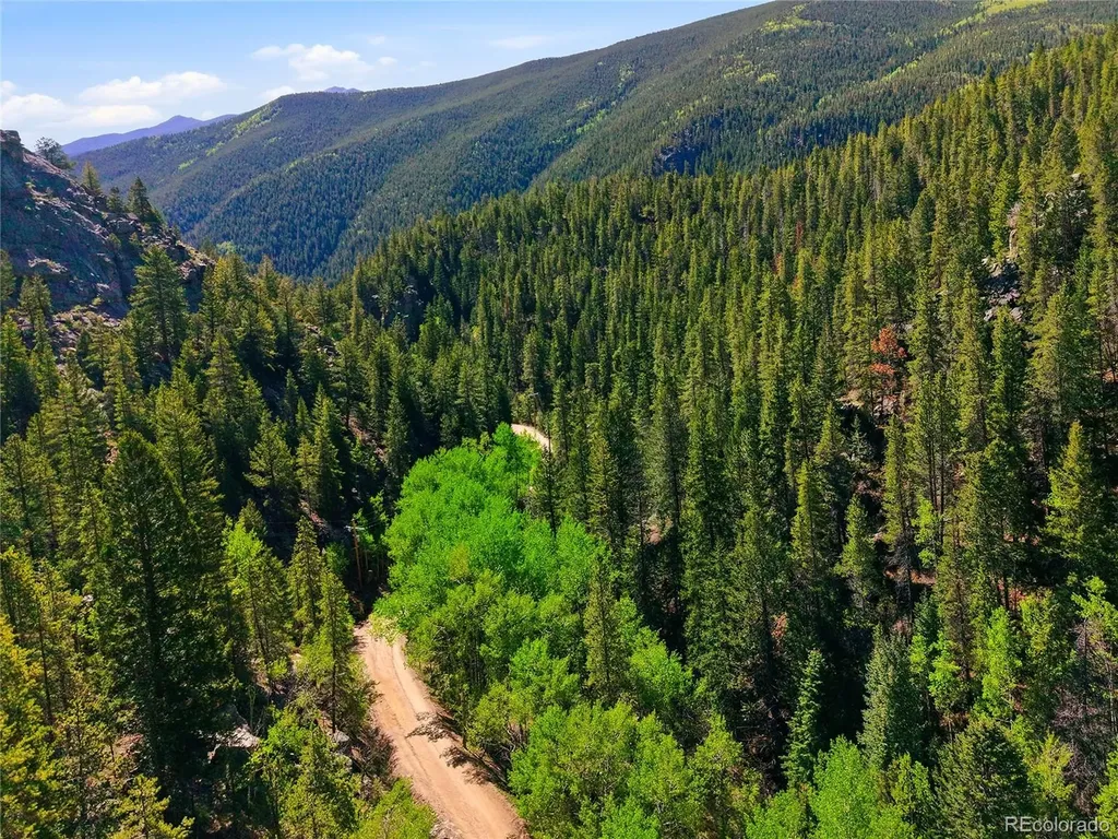 600 Ute Creek Road Idaho Springs CO 80452