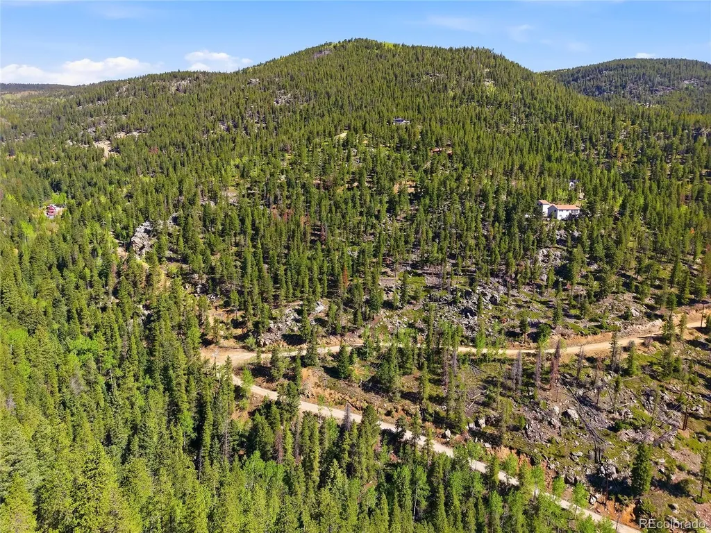 600 Ute Creek Road Idaho Springs CO 80452