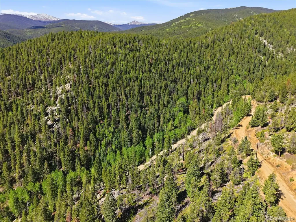 600 Ute Creek Road Idaho Springs CO 80452