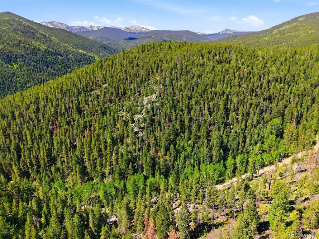 600 Ute Creek Road Idaho Springs CO 80452