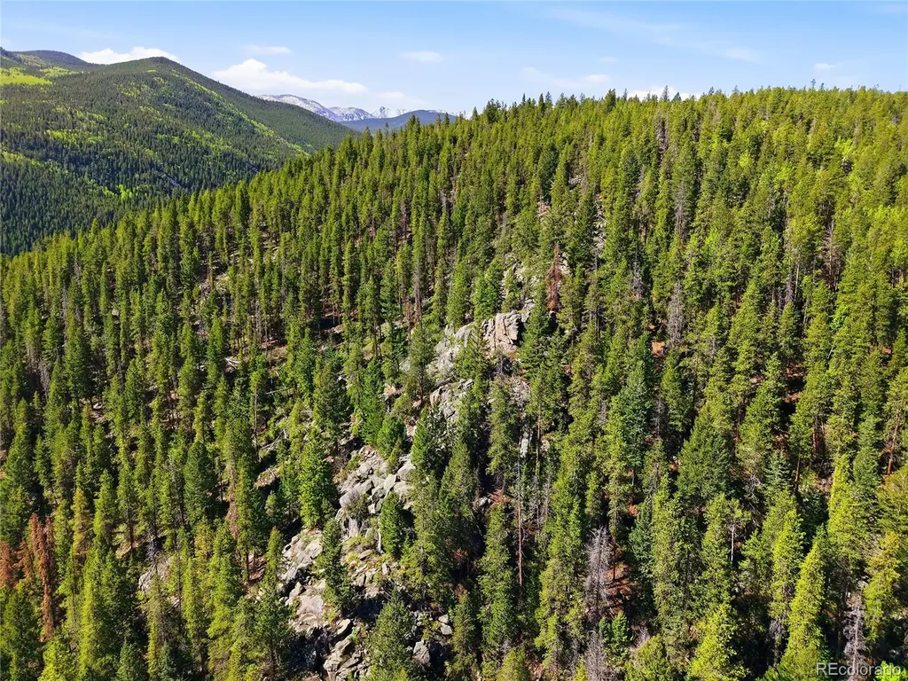 600 Ute Creek Road Idaho Springs CO 80452