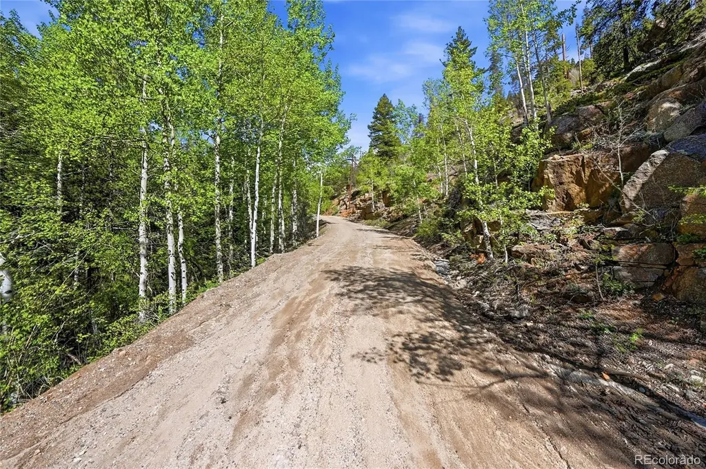 600 Ute Creek Road Idaho Springs CO 80452