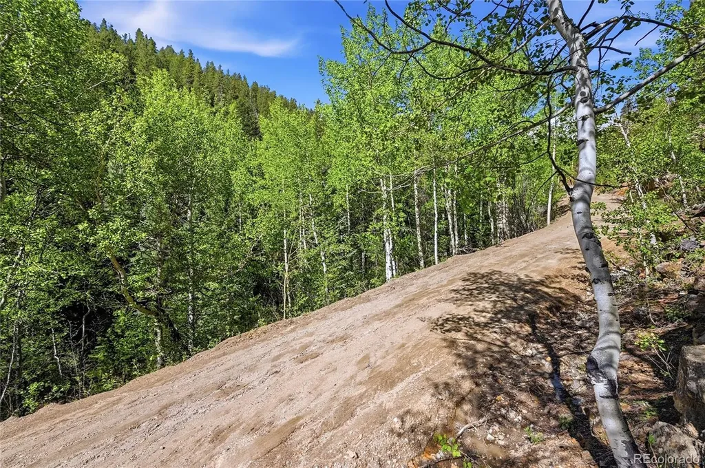 600 Ute Creek Road Idaho Springs CO 80452