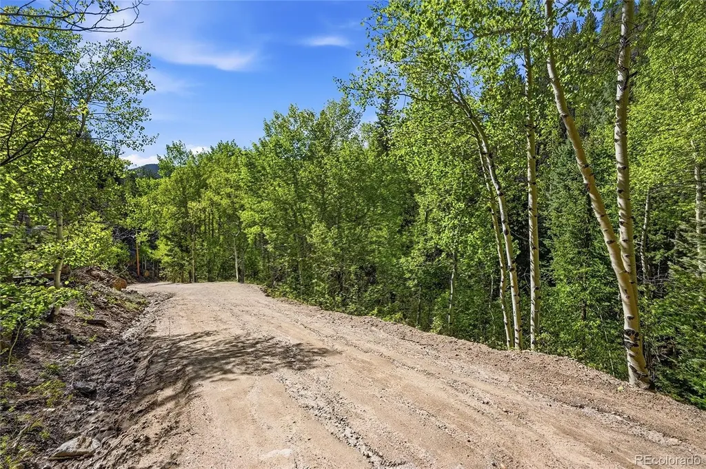 600 Ute Creek Road Idaho Springs CO 80452