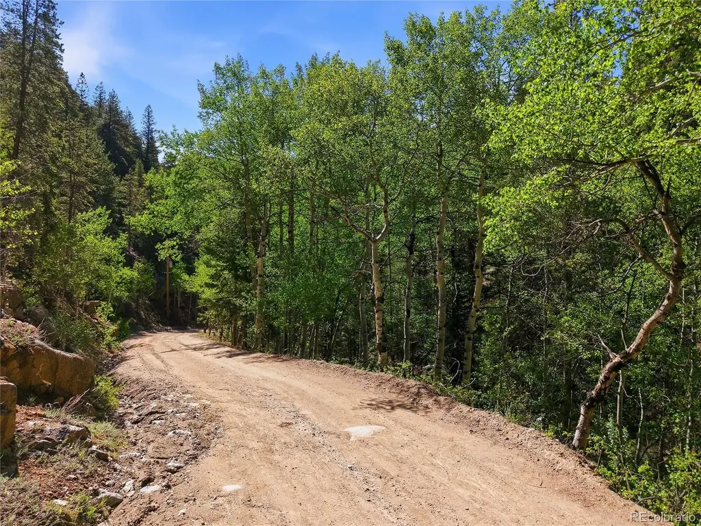 600 Ute Creek Road Idaho Springs CO 80452
