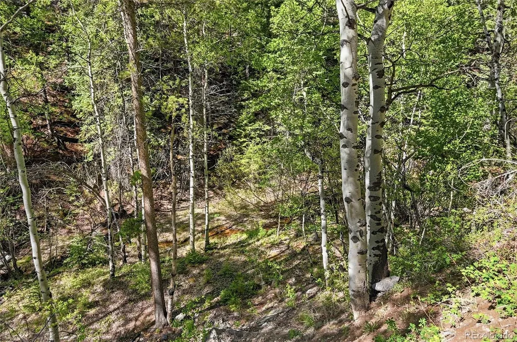 600 Ute Creek Road Idaho Springs CO 80452
