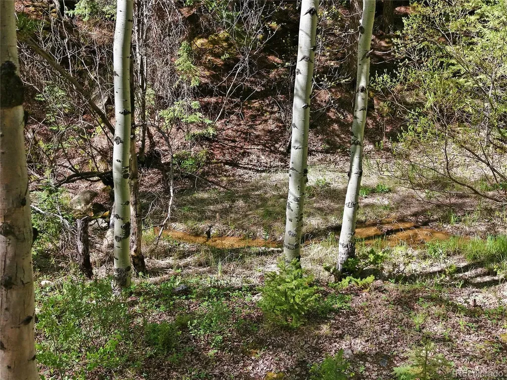600 Ute Creek Road Idaho Springs CO 80452