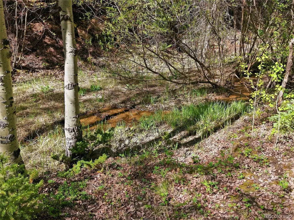 600 Ute Creek Road Idaho Springs CO 80452