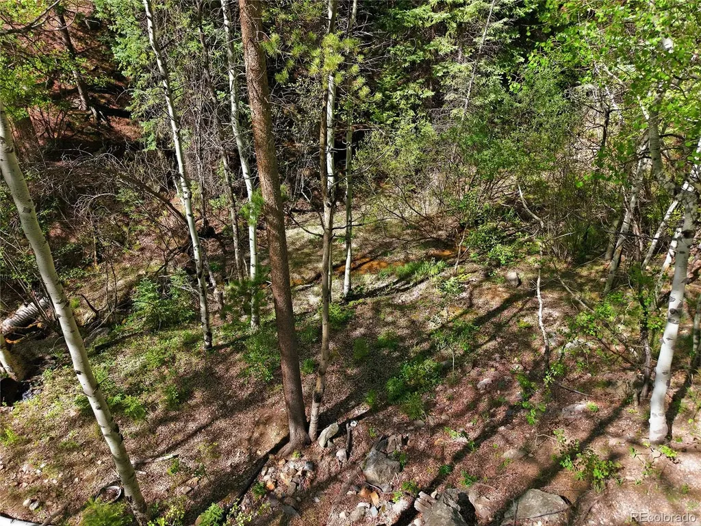 600 Ute Creek Road Idaho Springs CO 80452