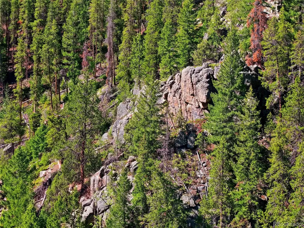 600 Ute Creek Road Idaho Springs CO 80452