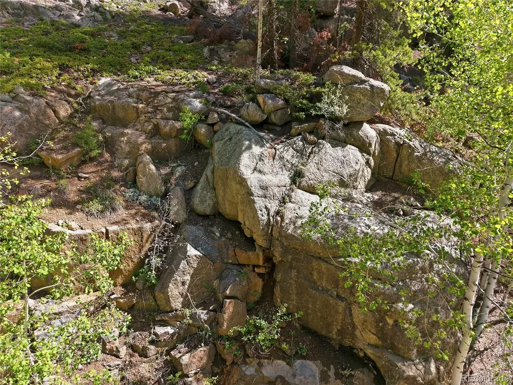 600 Ute Creek Road Idaho Springs CO 80452