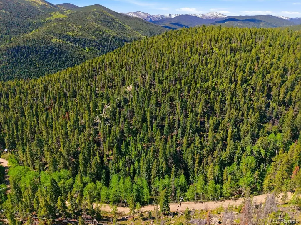 600 Ute Creek Road Idaho Springs CO 80452