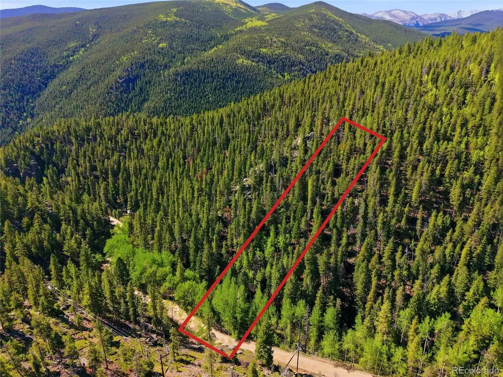 600 Ute Creek Road Idaho Springs CO 80452