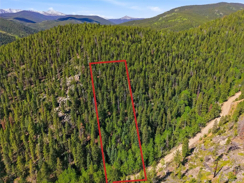 600 Ute Creek Road Idaho Springs CO 80452