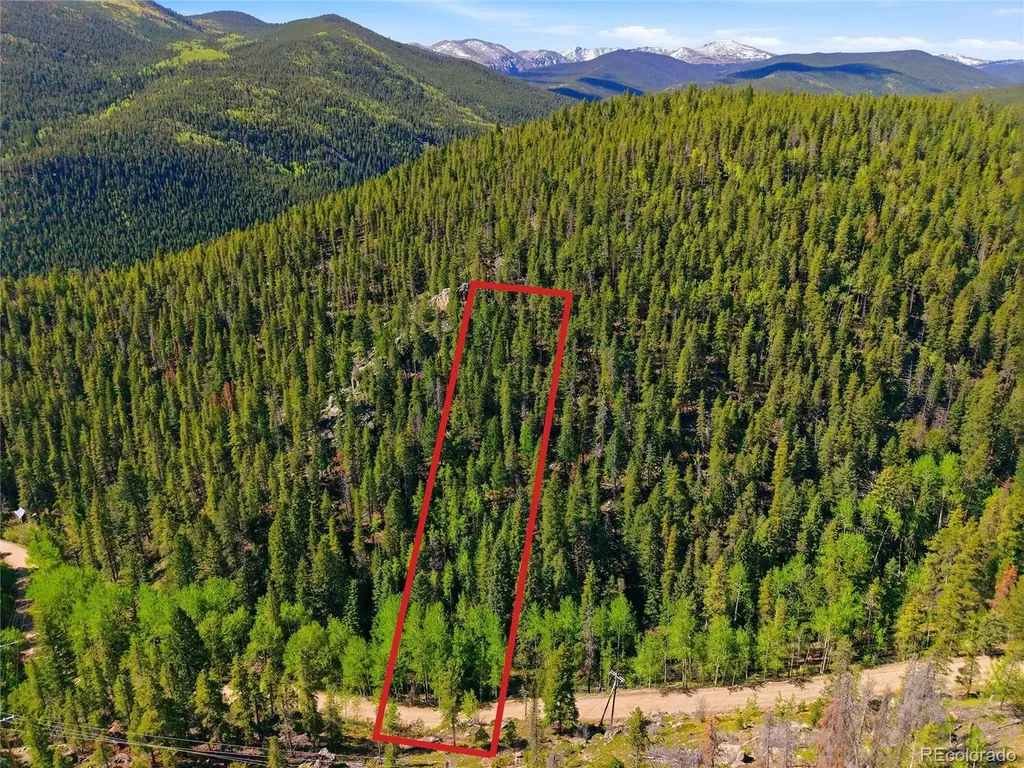 600 Ute Creek Road Idaho Springs CO 80452