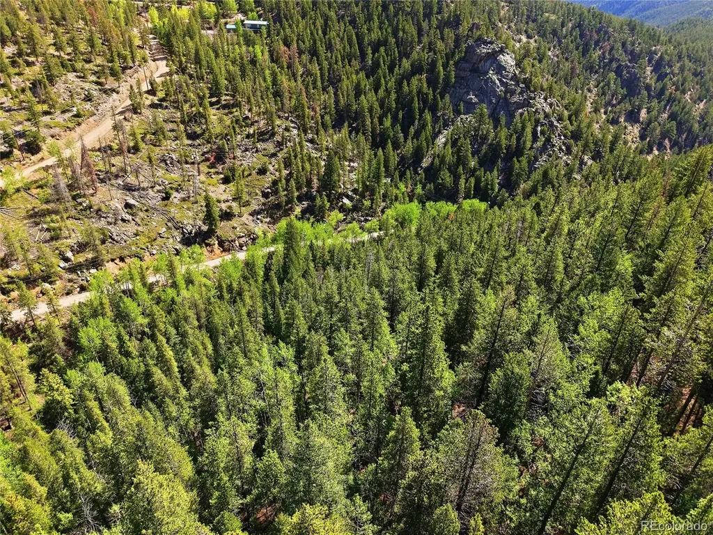 600 Ute Creek Road Idaho Springs CO 80452